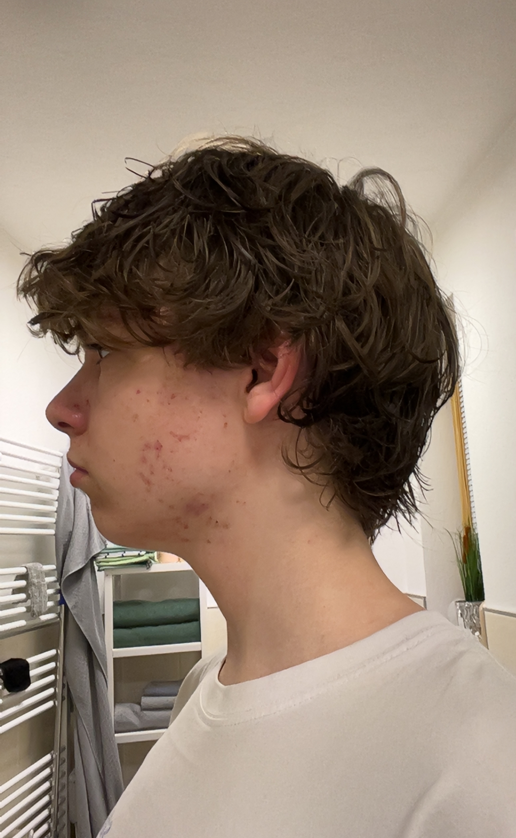IMG 2513