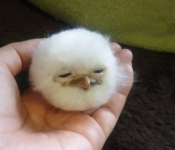 1b76d725acef9b4ab8c3cad5e9b983bd