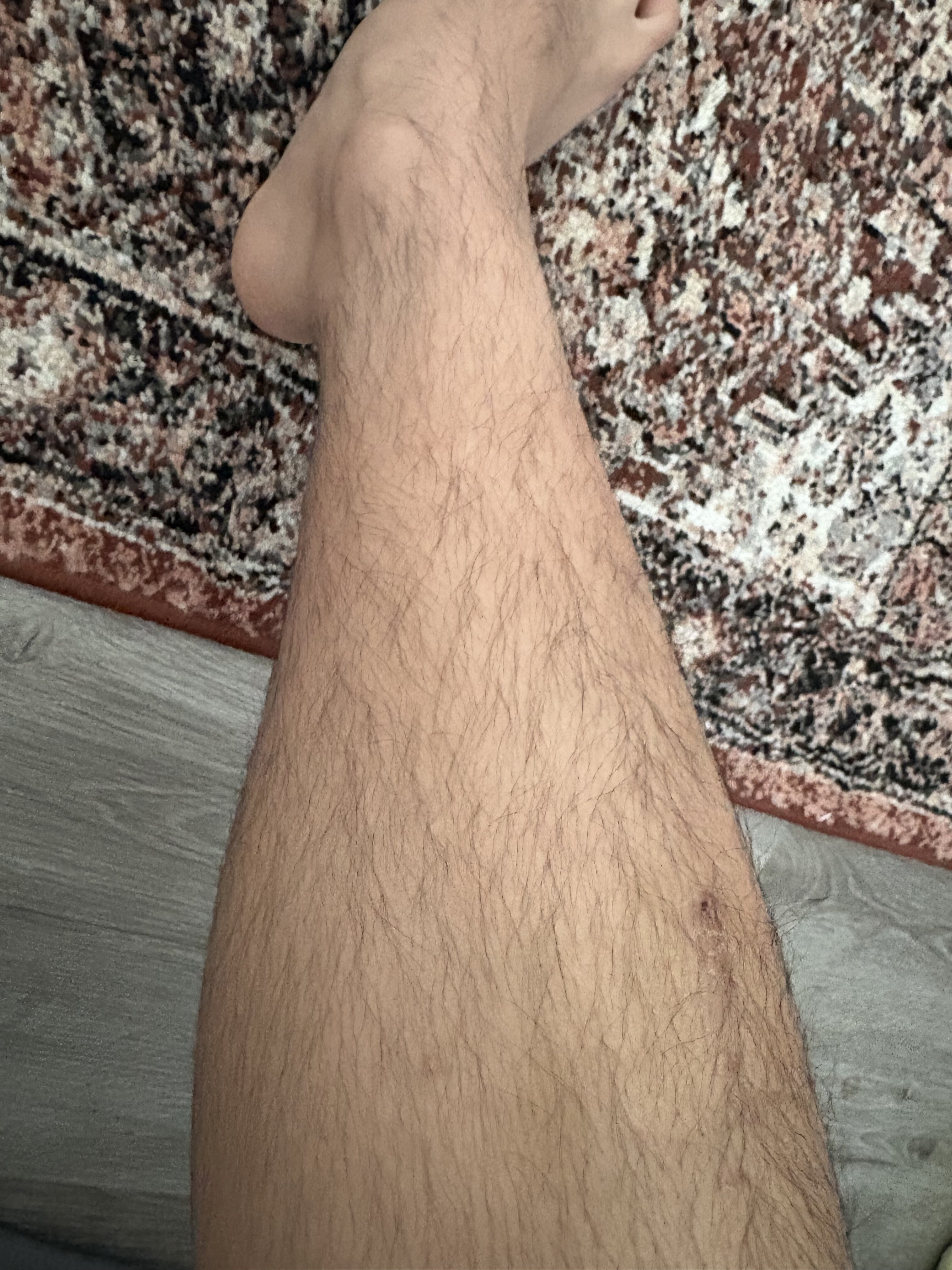 IMG 0510