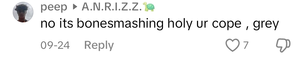 1744815295158
