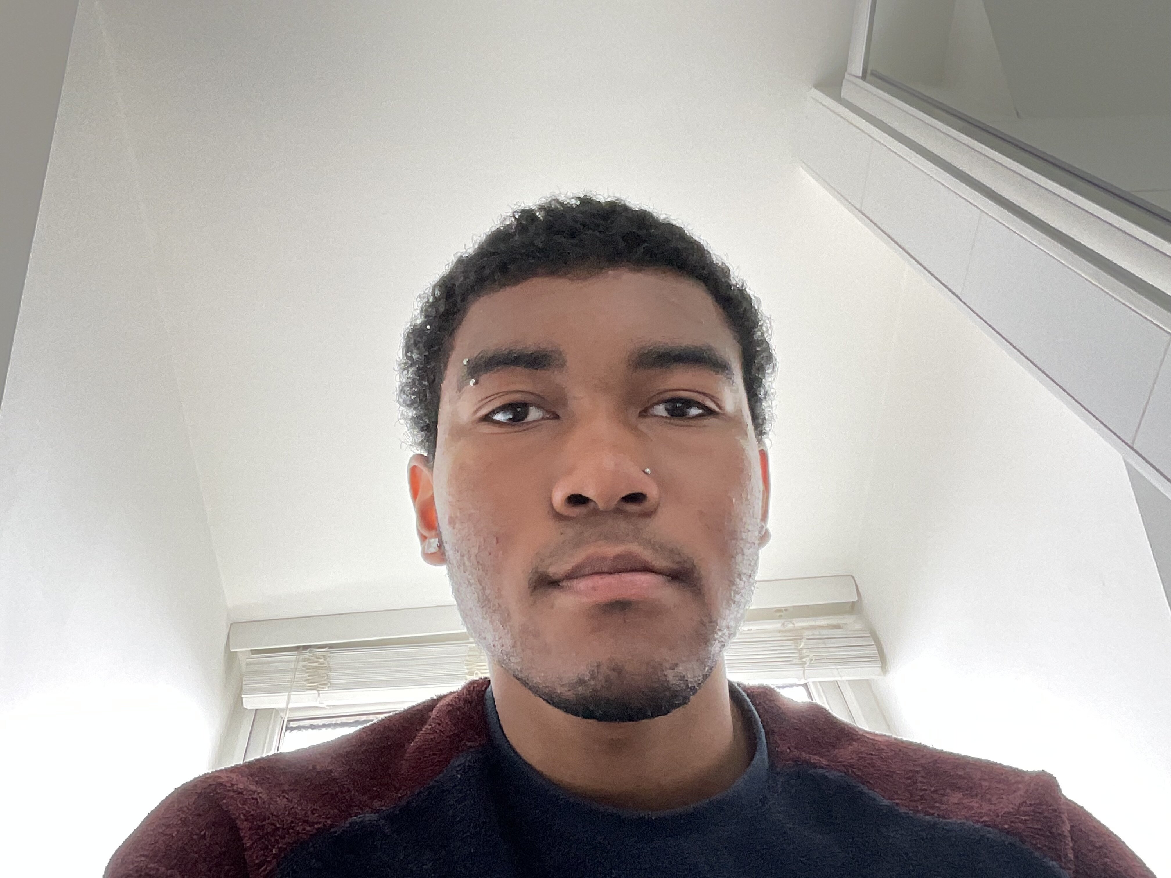 IMG 0251