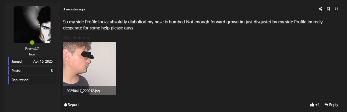 1744920408144