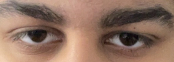 IMG 9104