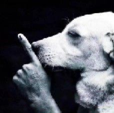 4298948 b45e92284a8984c2754b5eddf8549f55