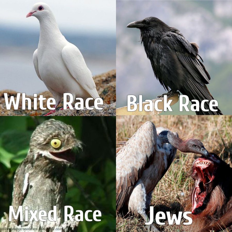 Goyf2zUbkAIW 37