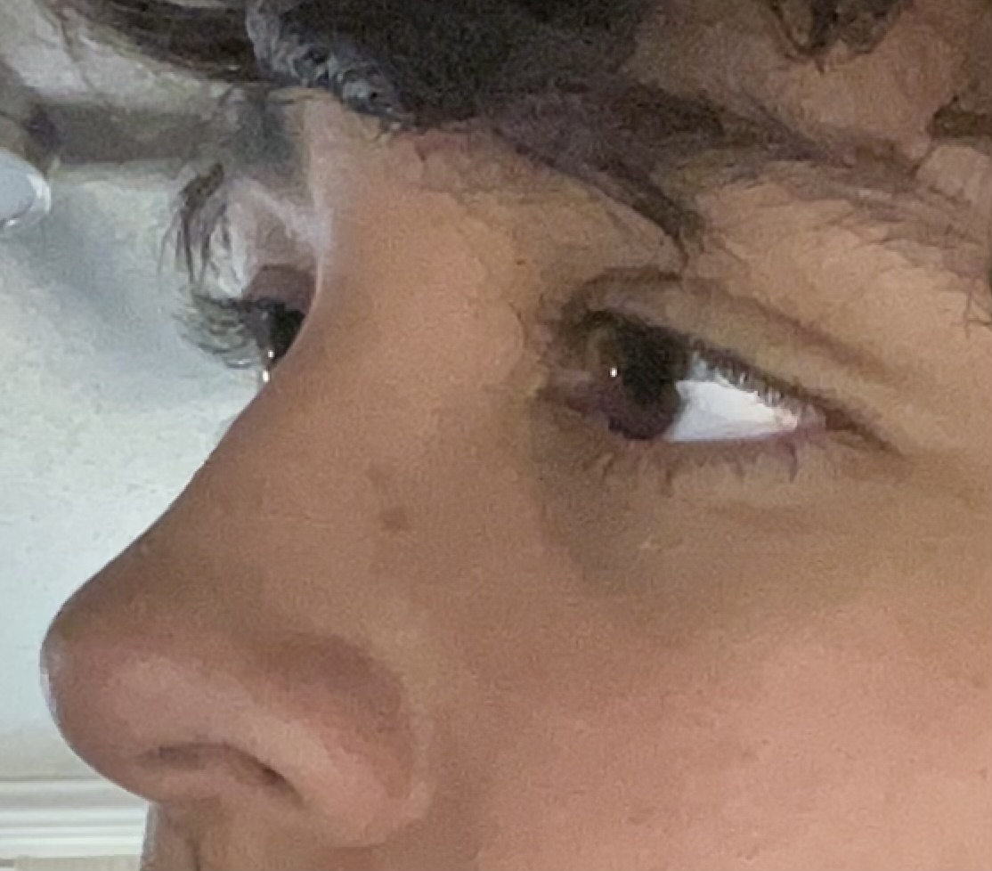 IMG 2441