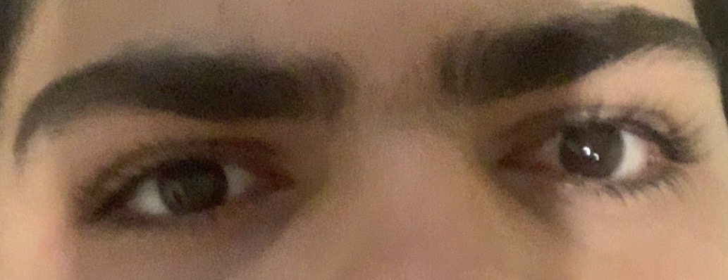IMG 2993