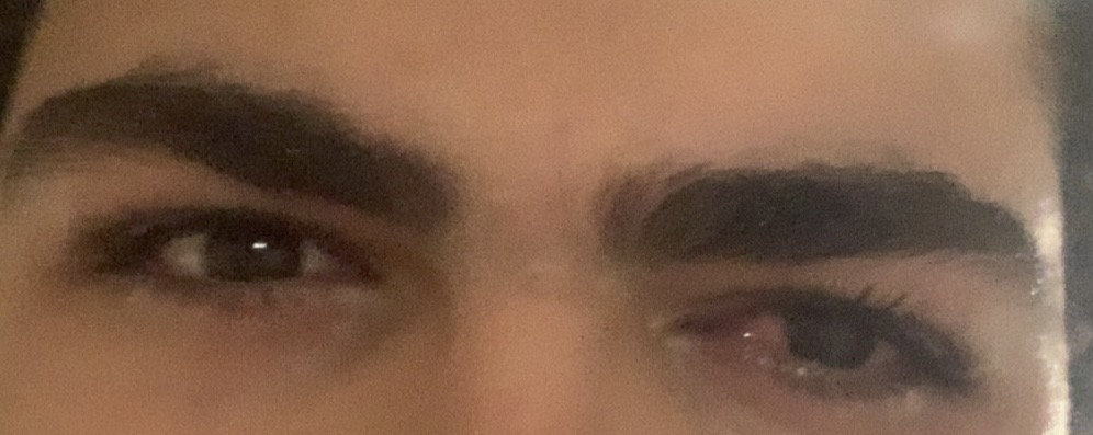 IMG 2995