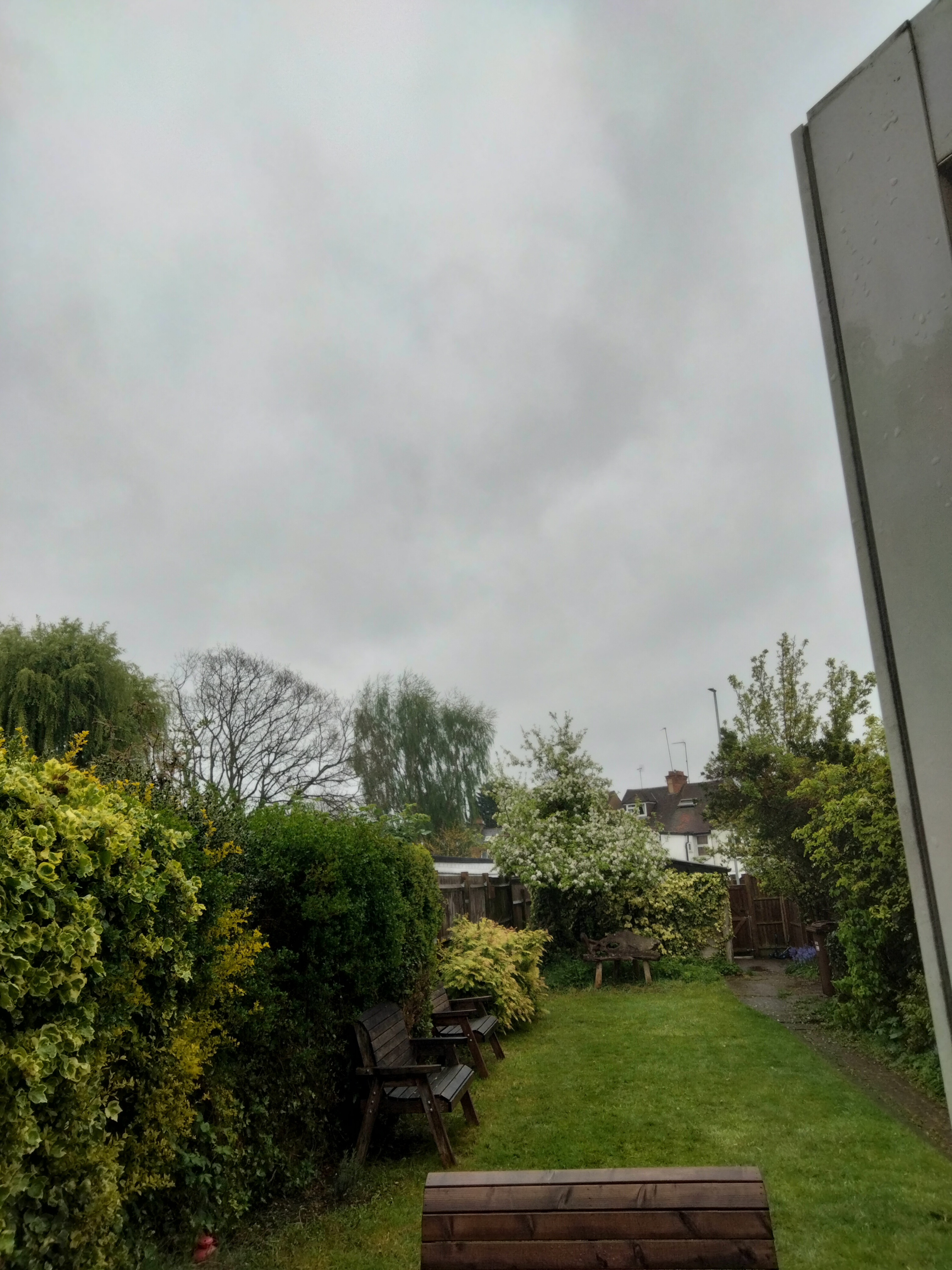 IMG20250423094234