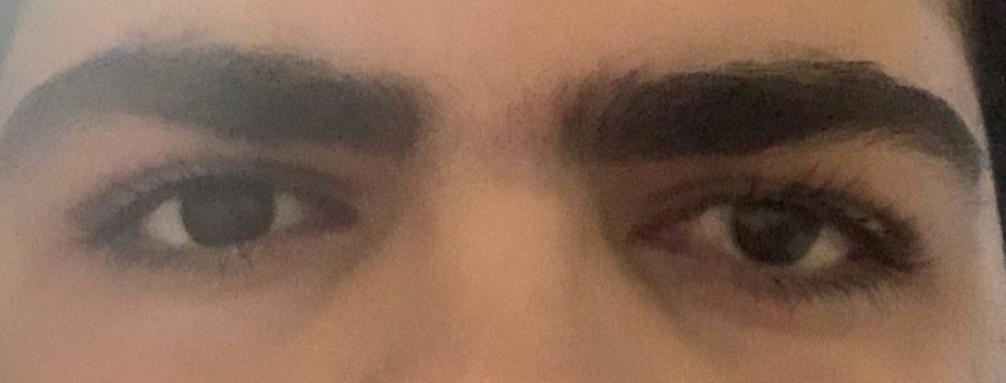 IMG 2994