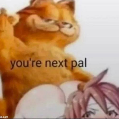 18497