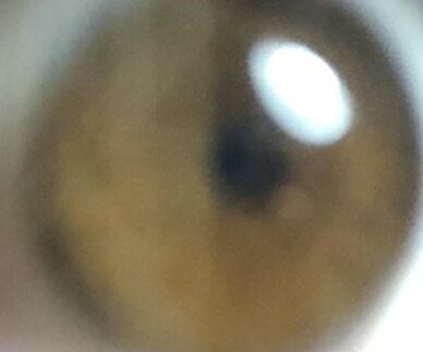 IMG_3331.jpeg