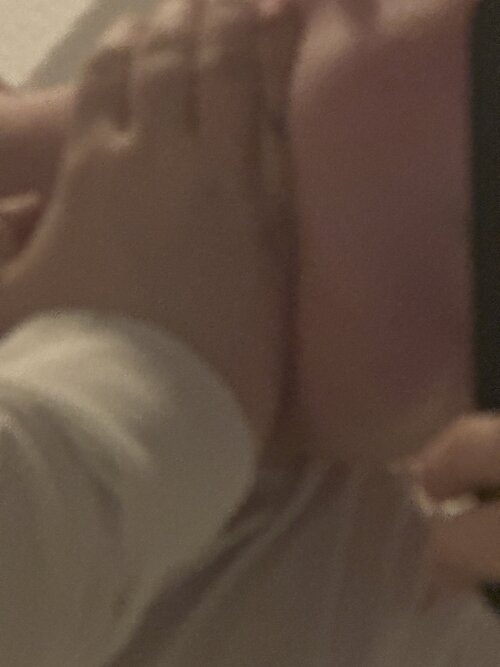 IMG_7237.jpeg