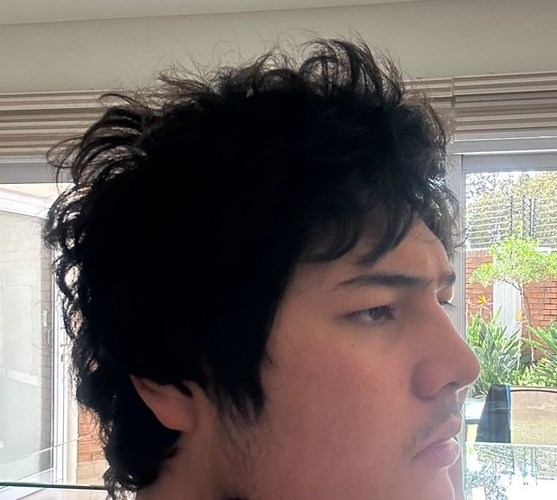 1745408033386.png