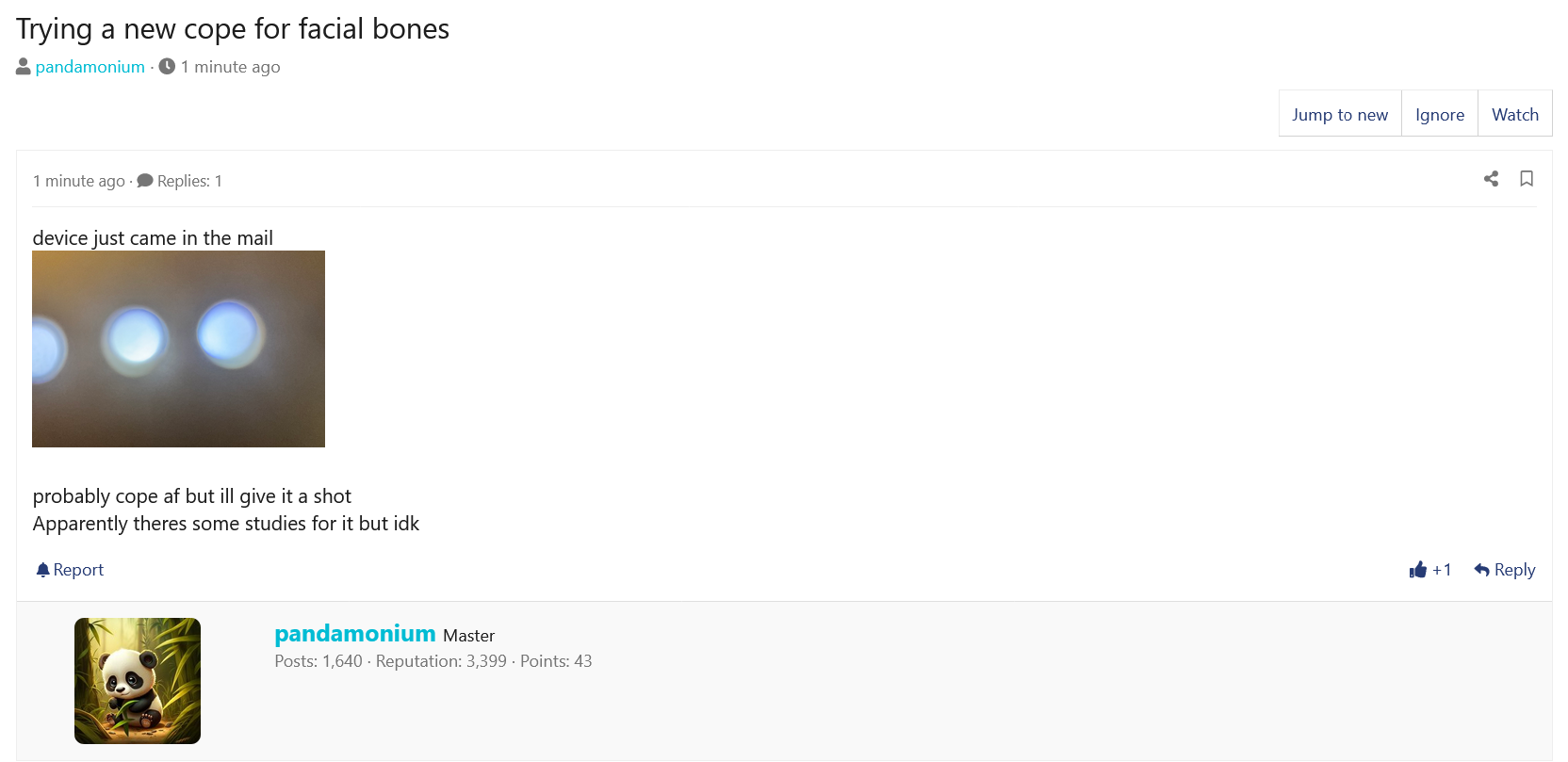 Screenshot 2025 05 01 at 20 31 26 1 Trying a new cope for facial bones Looksmaxorg   Mens 