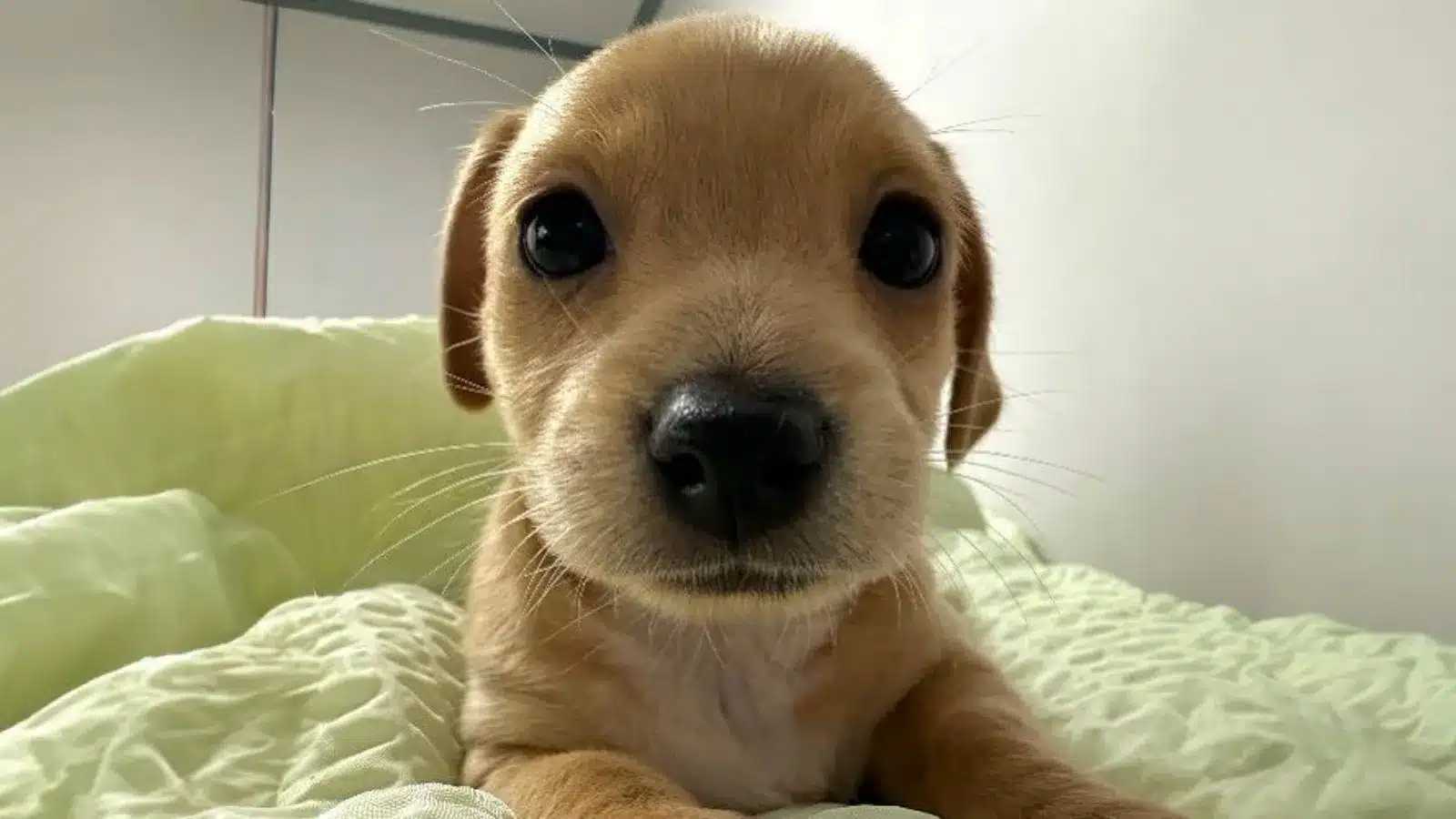 4914571 1746072316592