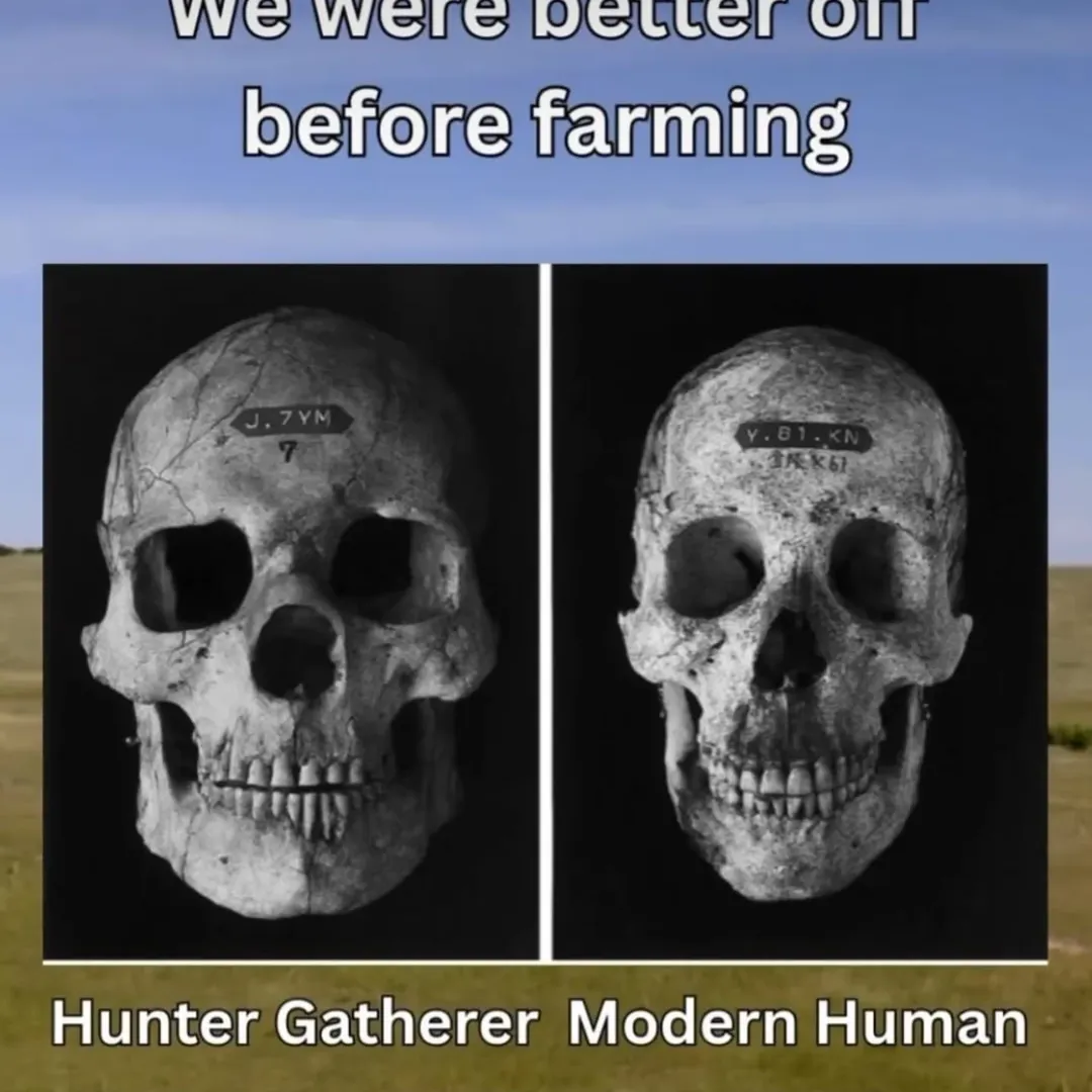 We can even see this with recent examples of carnivorous Hunter populations such as the plain