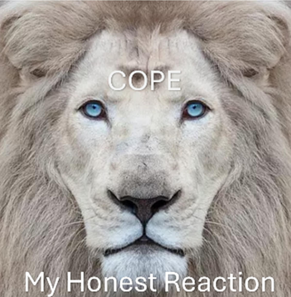 Cope My Honest Reaction