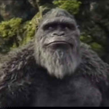 JPEG image