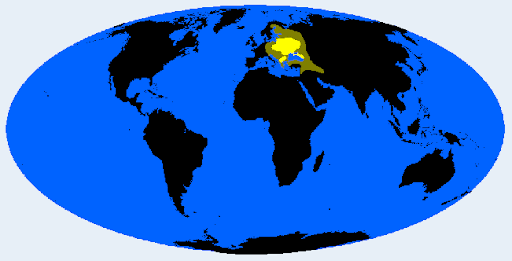 1747319538561