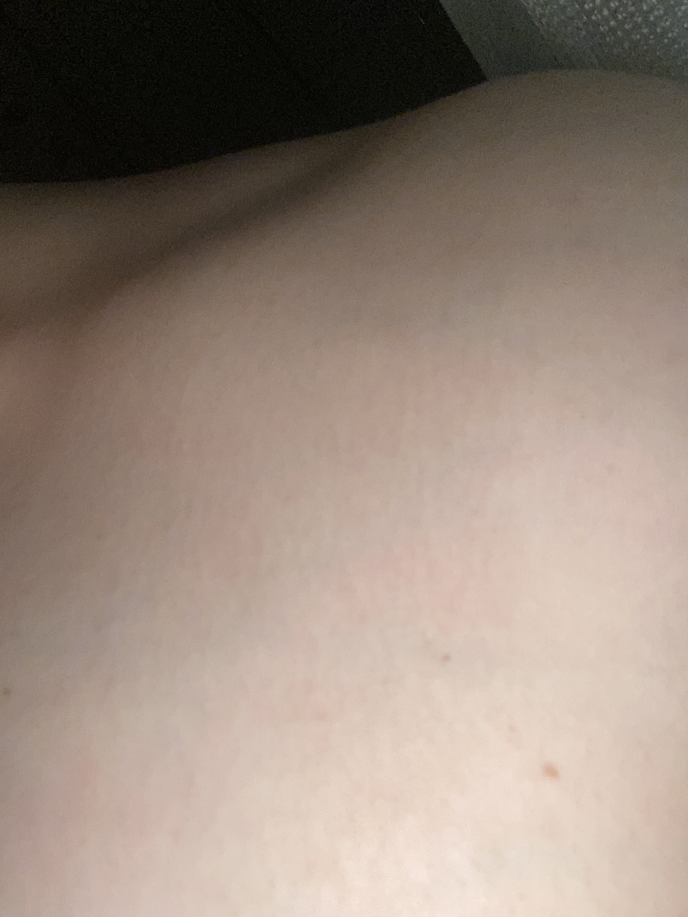 IMG 1431