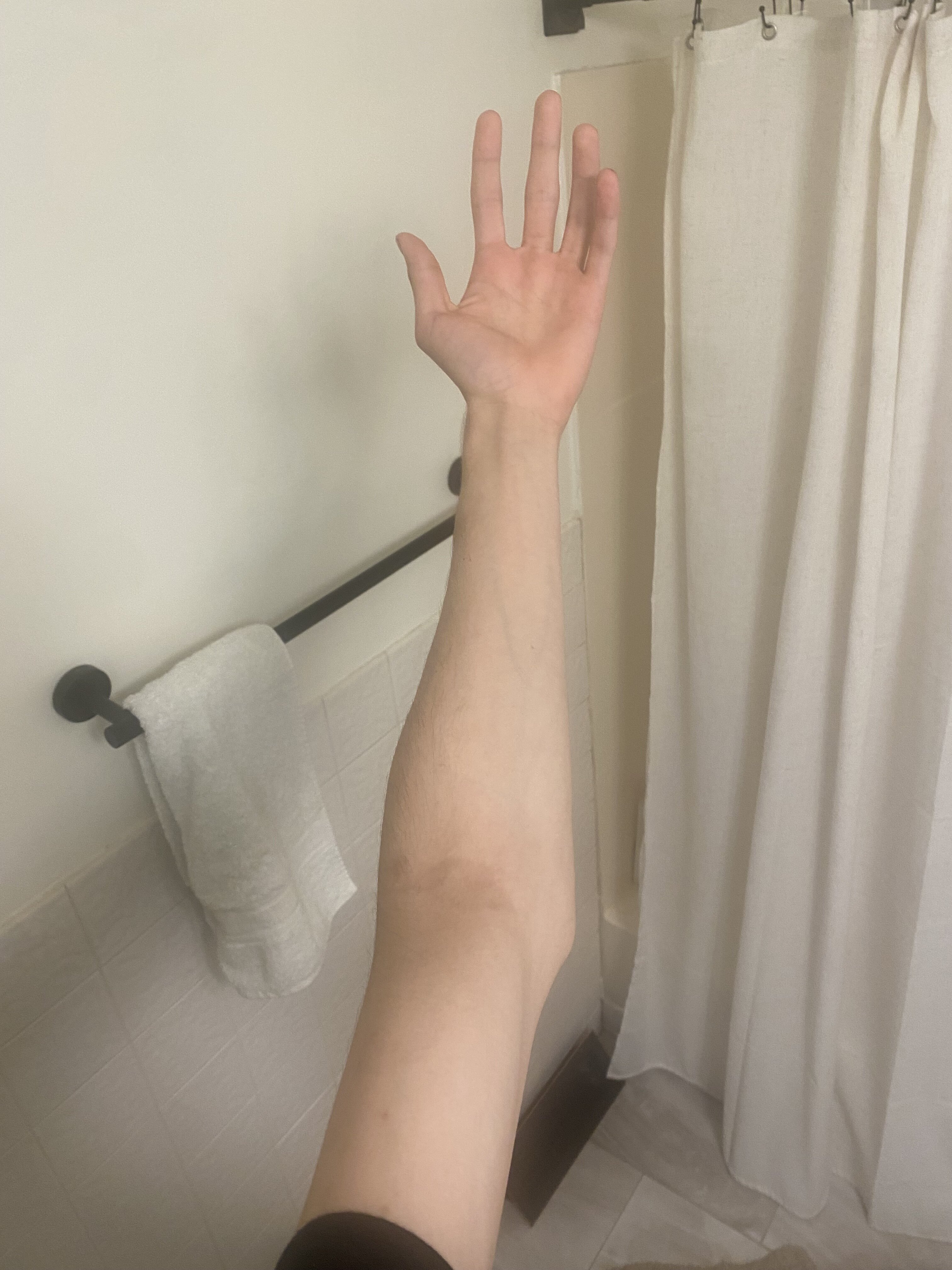 IMG 2500