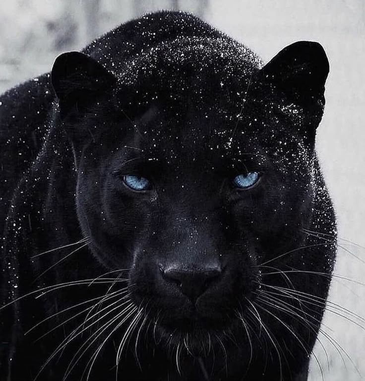 Aeb08e2ff861fb0575b8da6d073dc470