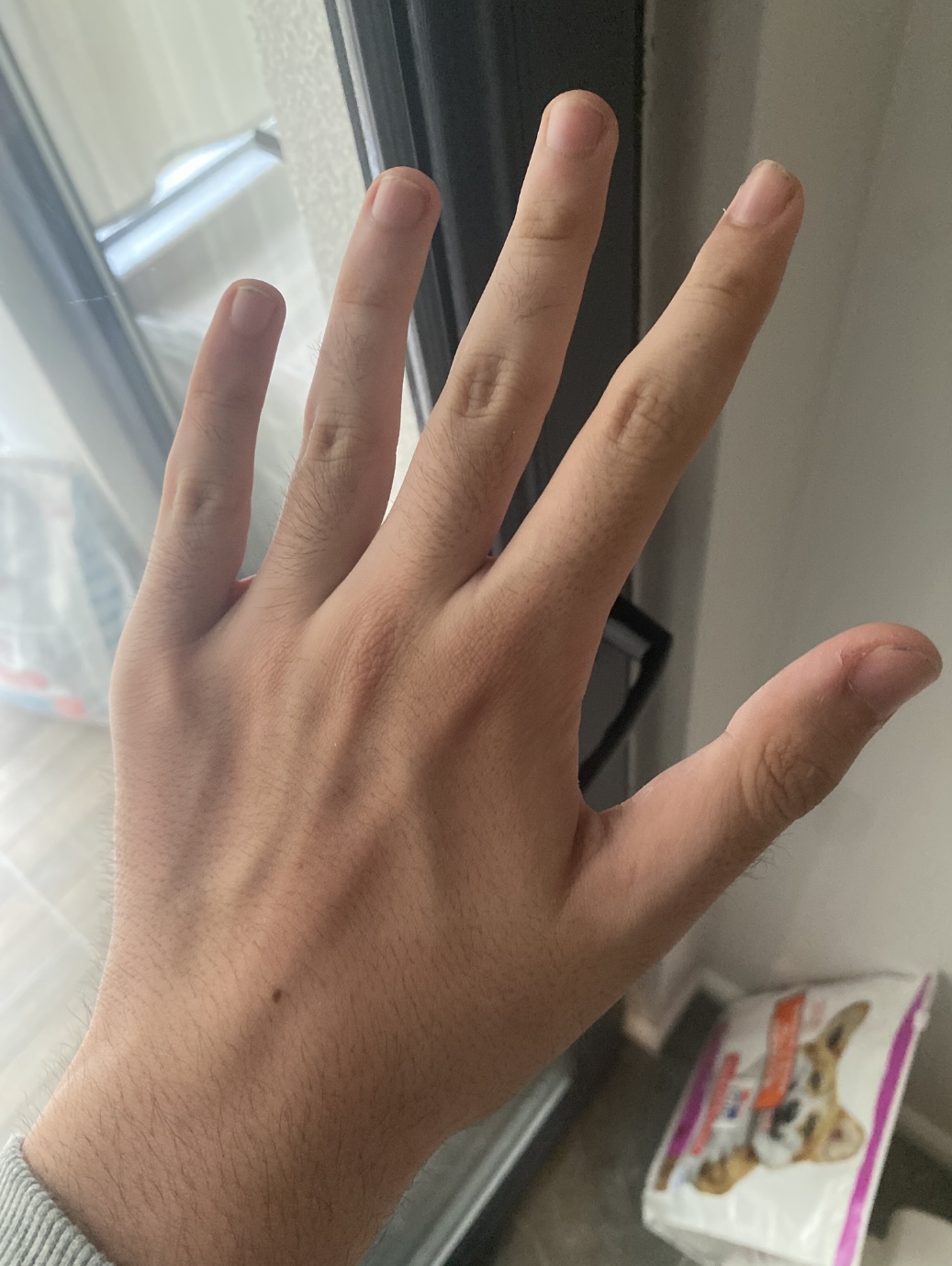 1000018066