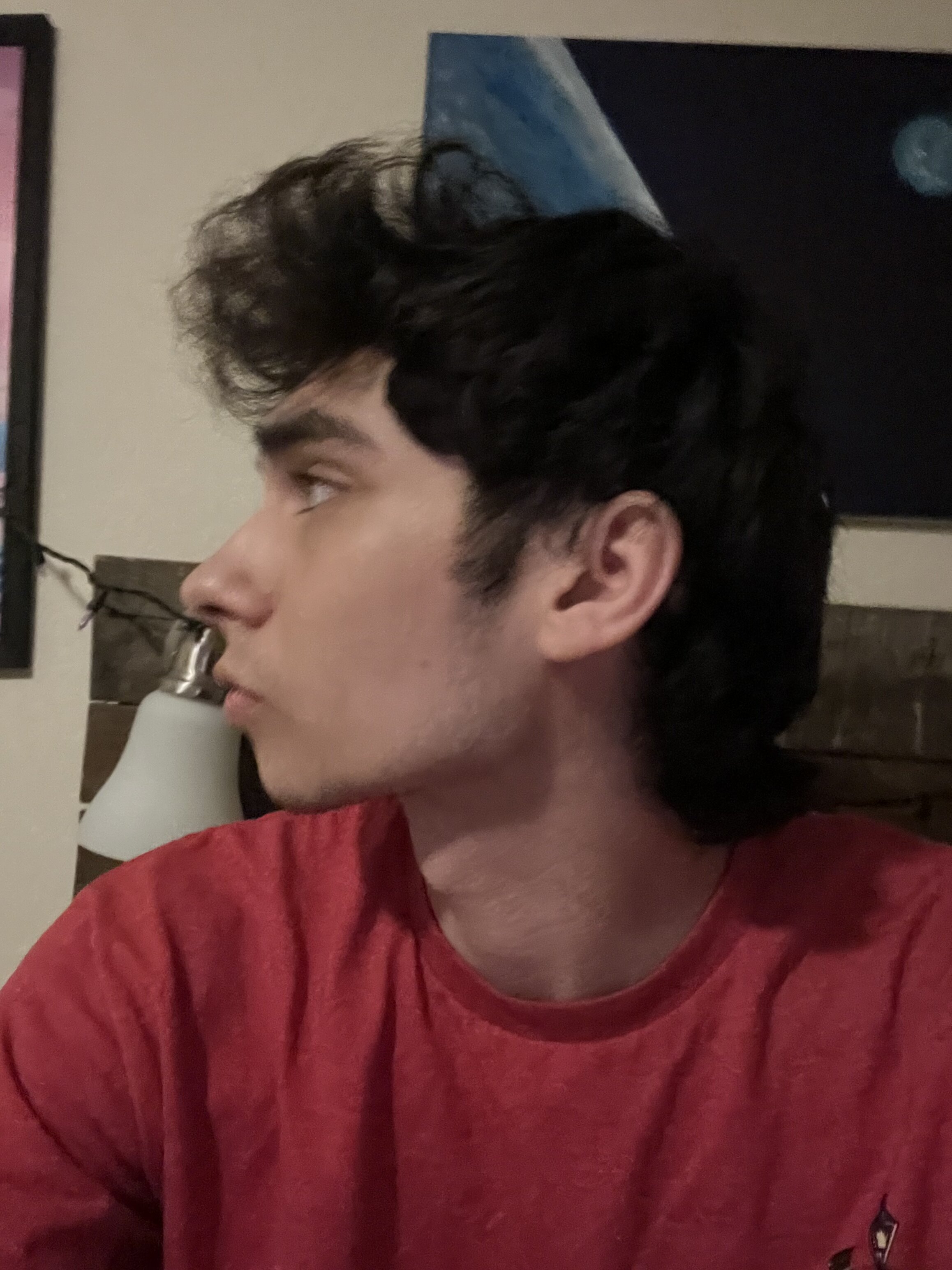 IMG 1240