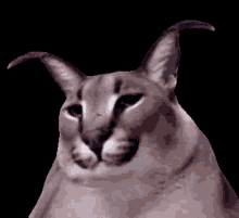 1747818342339