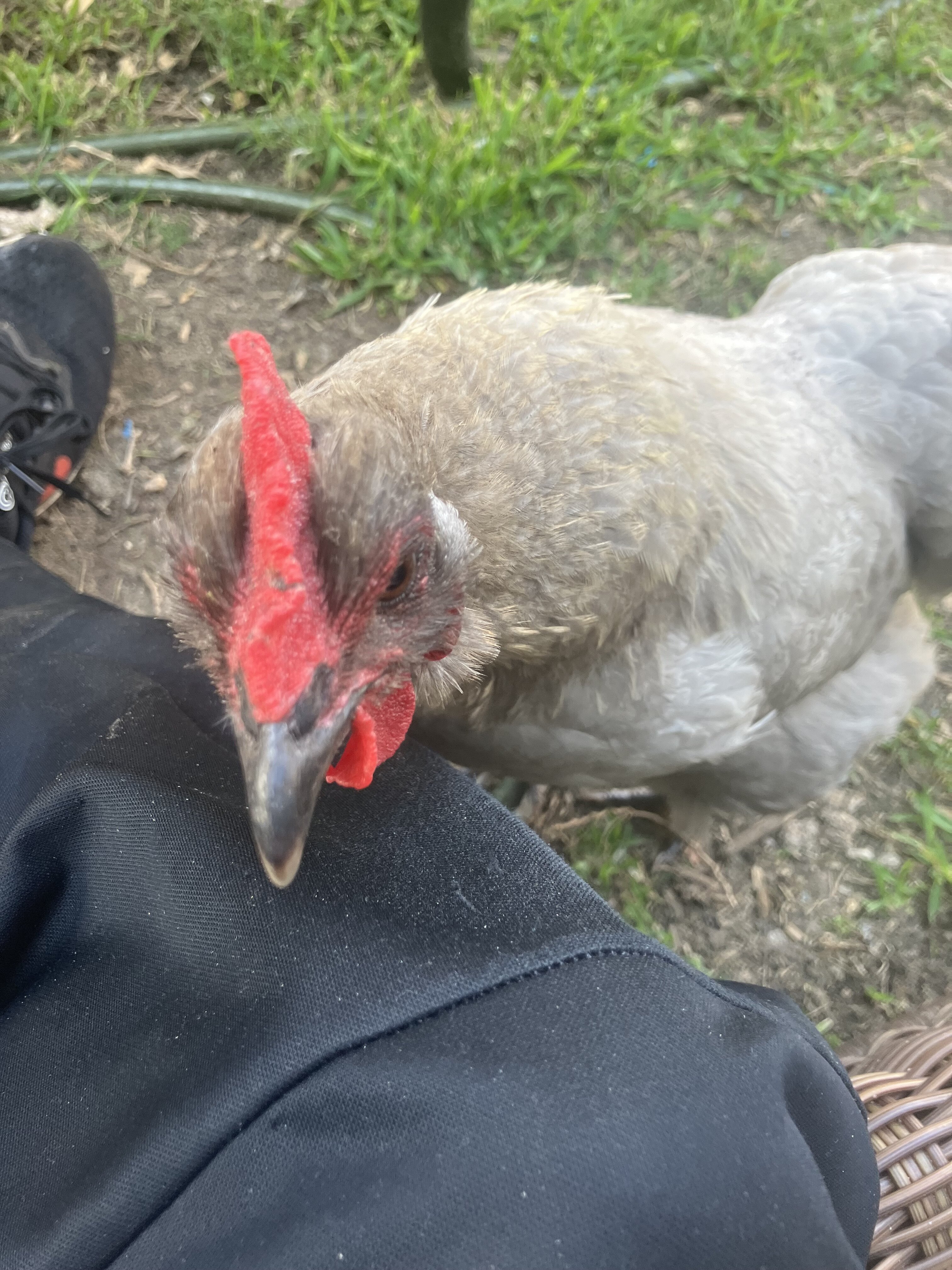 76783196111  D9B5FB6B 6EF5 4179 B885 D4B331B24705