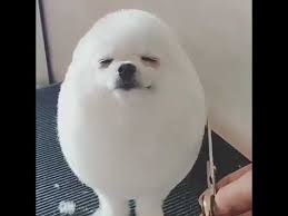 1748073634651