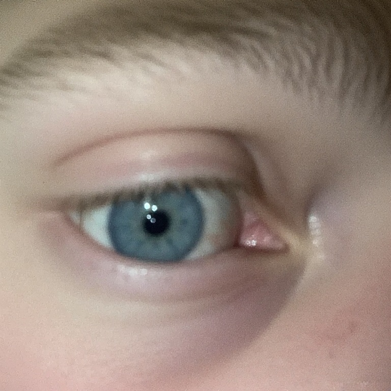 IMG1101