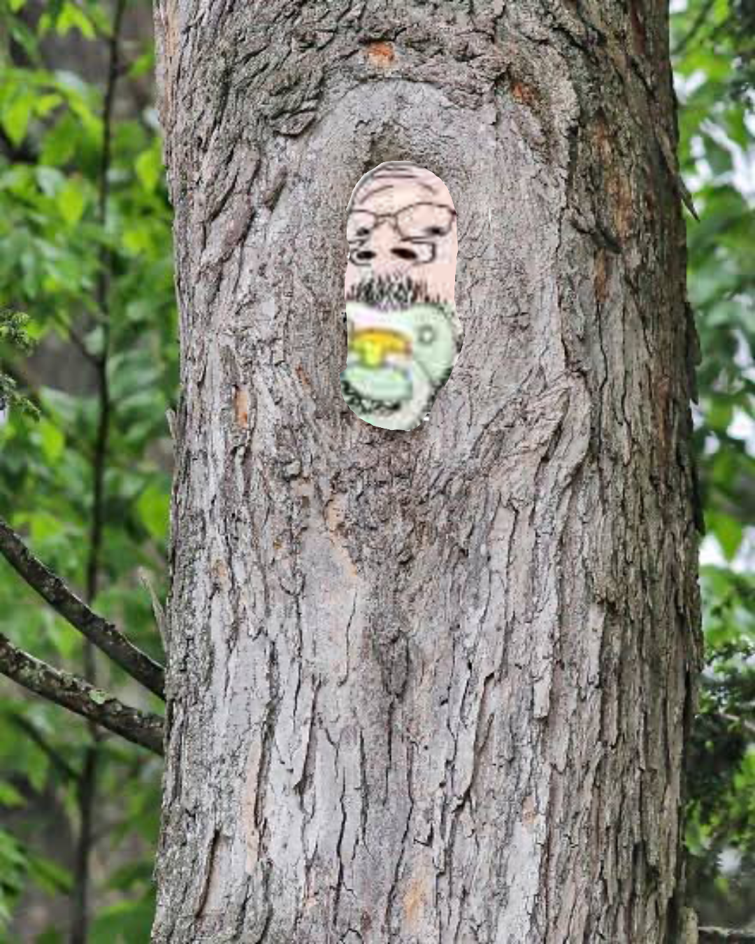 Babyinatree