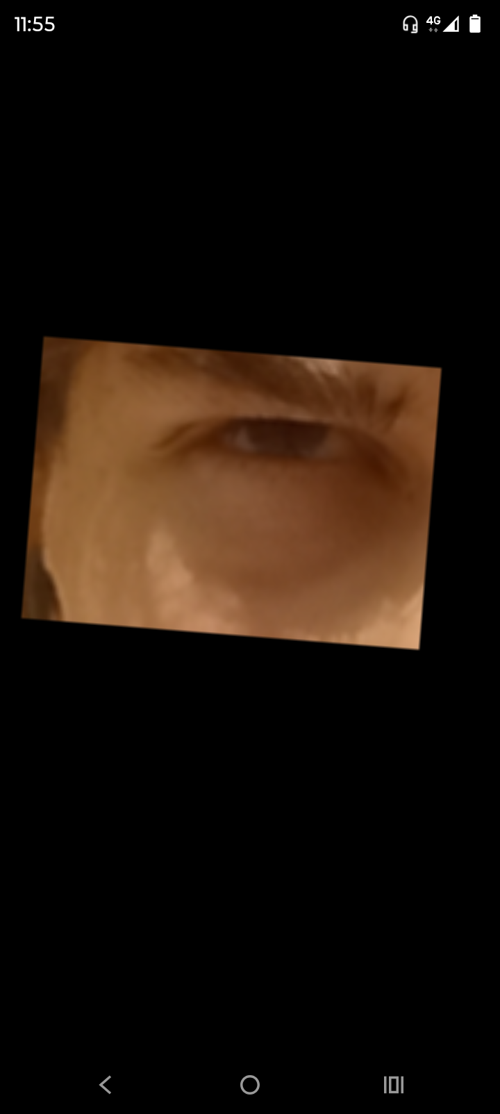 1000013565 1000013565