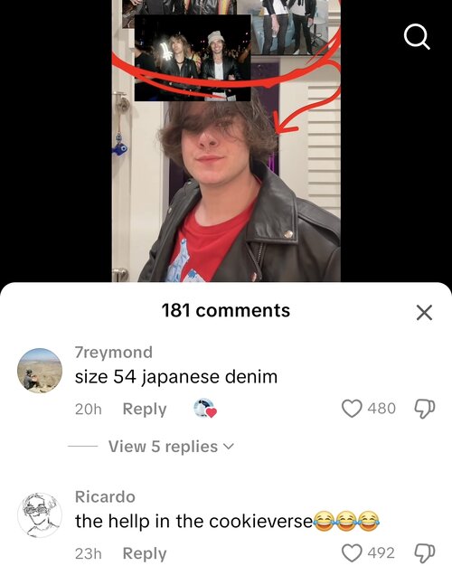 Screenshot_20250515_145305_TikTok.jpg