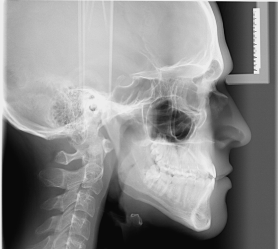 Screenshot 2025 05 16 170920