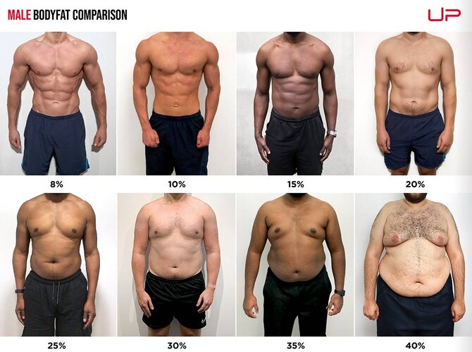 Body-Fat-percentage-.jpg