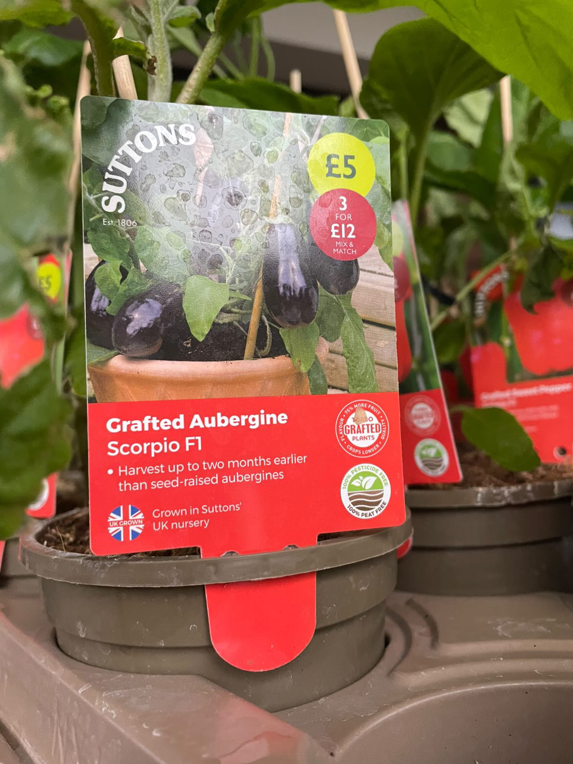 D98A4780 72CC 4520 B3A5 F67BFBC6C6C2