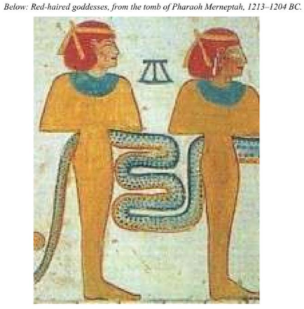 1748795393533