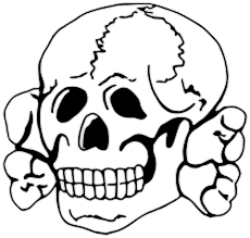 Nazi totenkopf