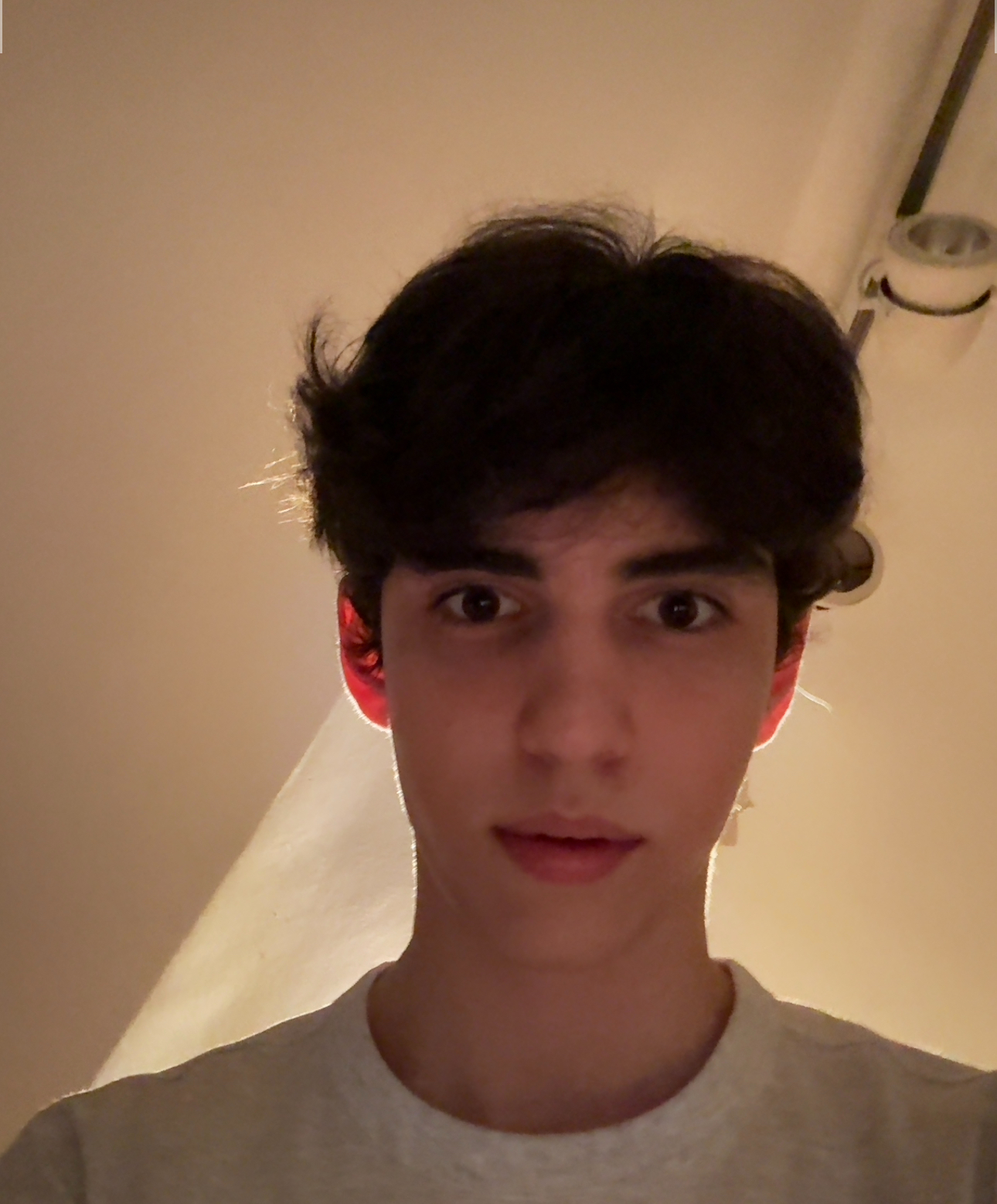 IMG 1630