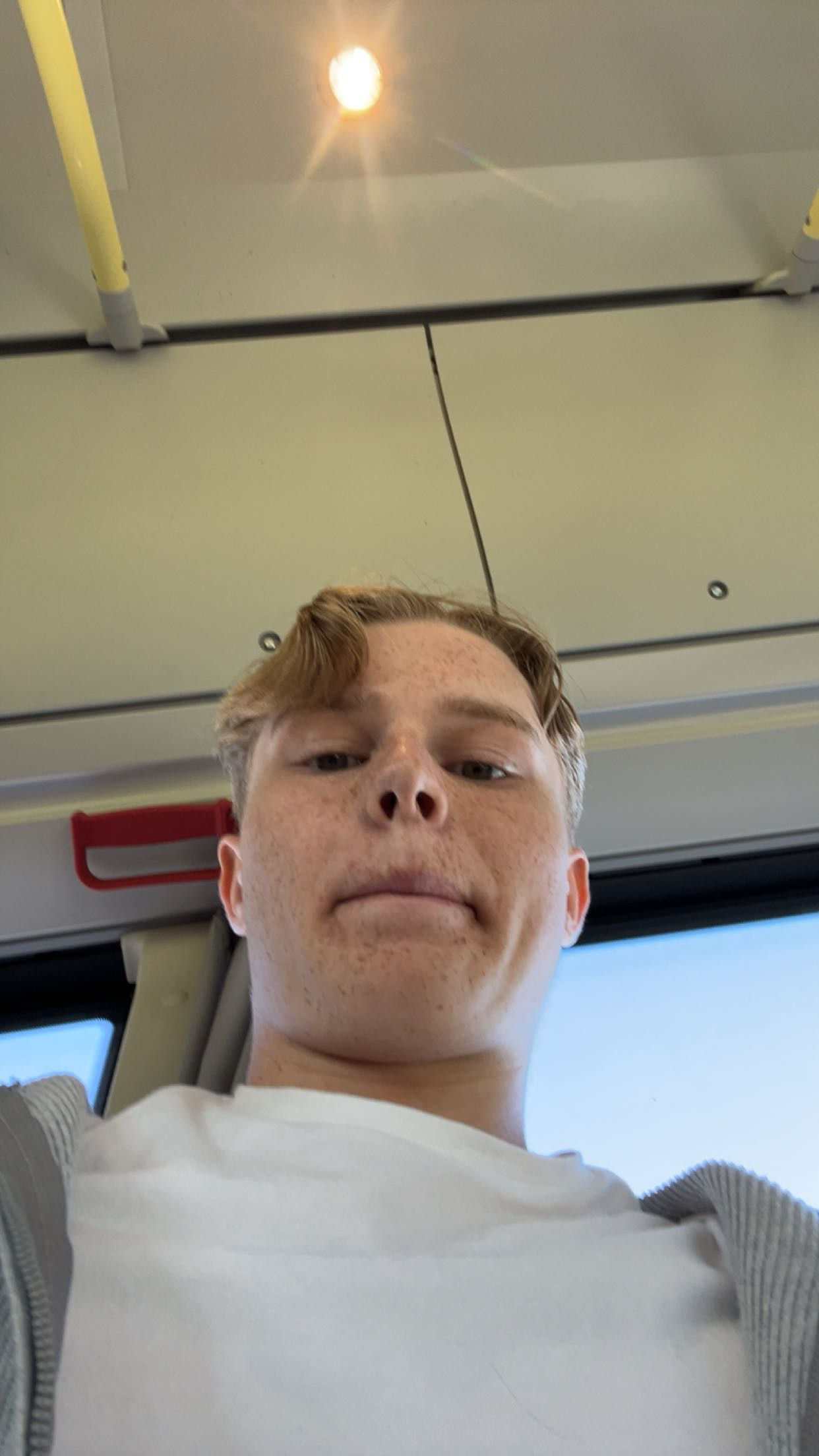 IMG 1054