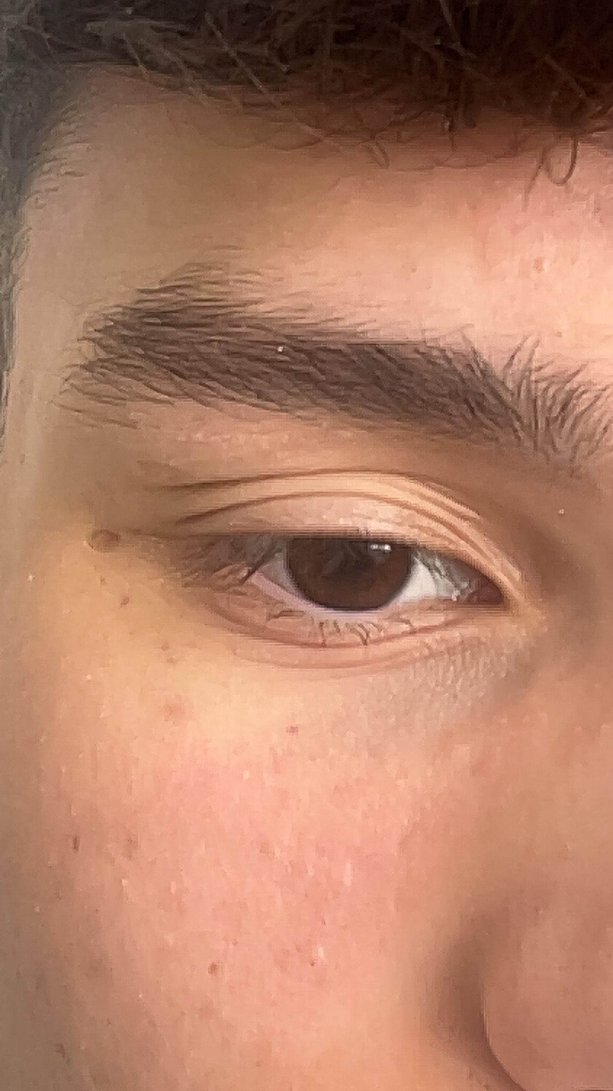IMG 0611