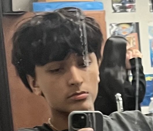 IMG 3462