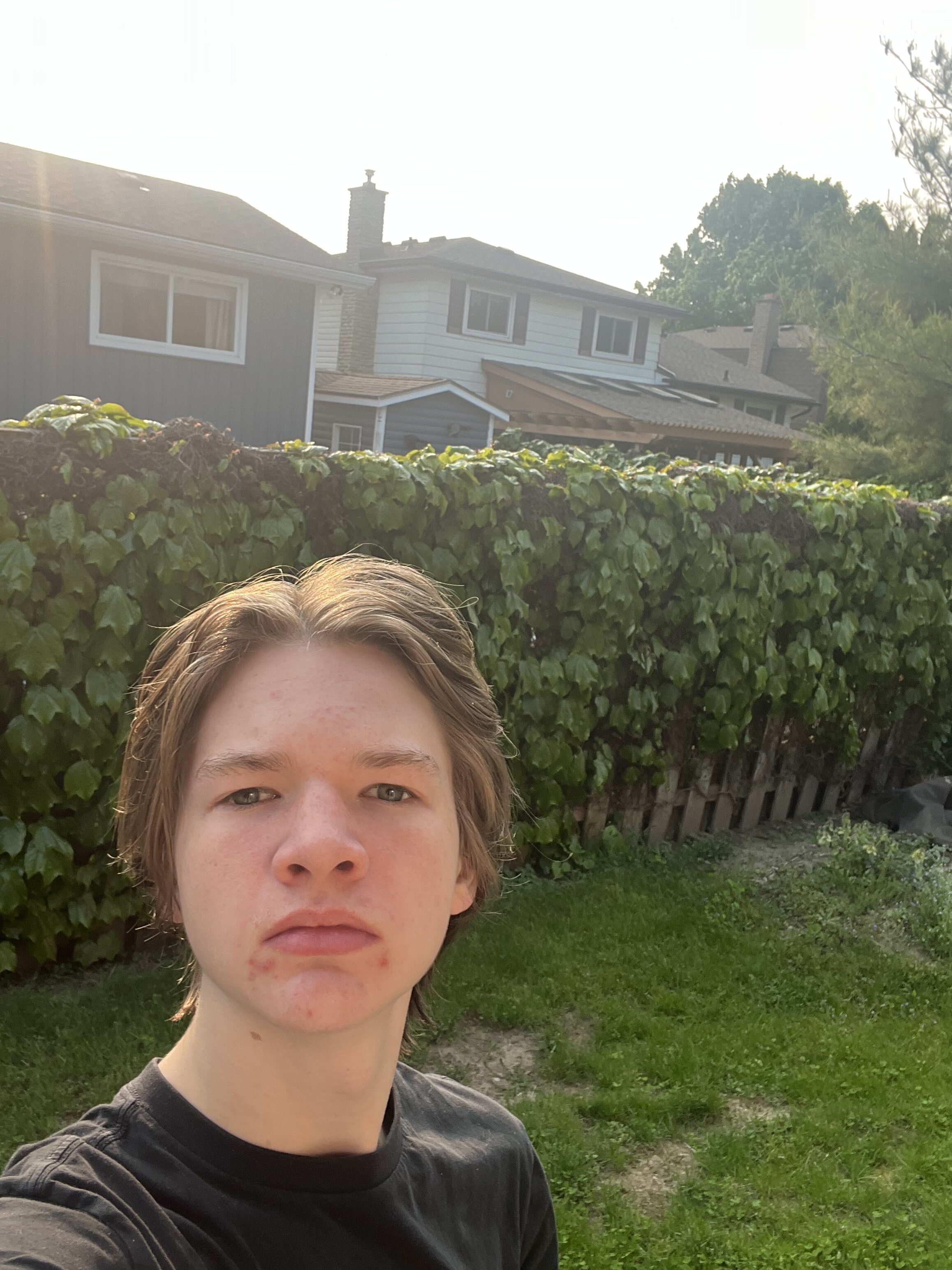 IMG 2873