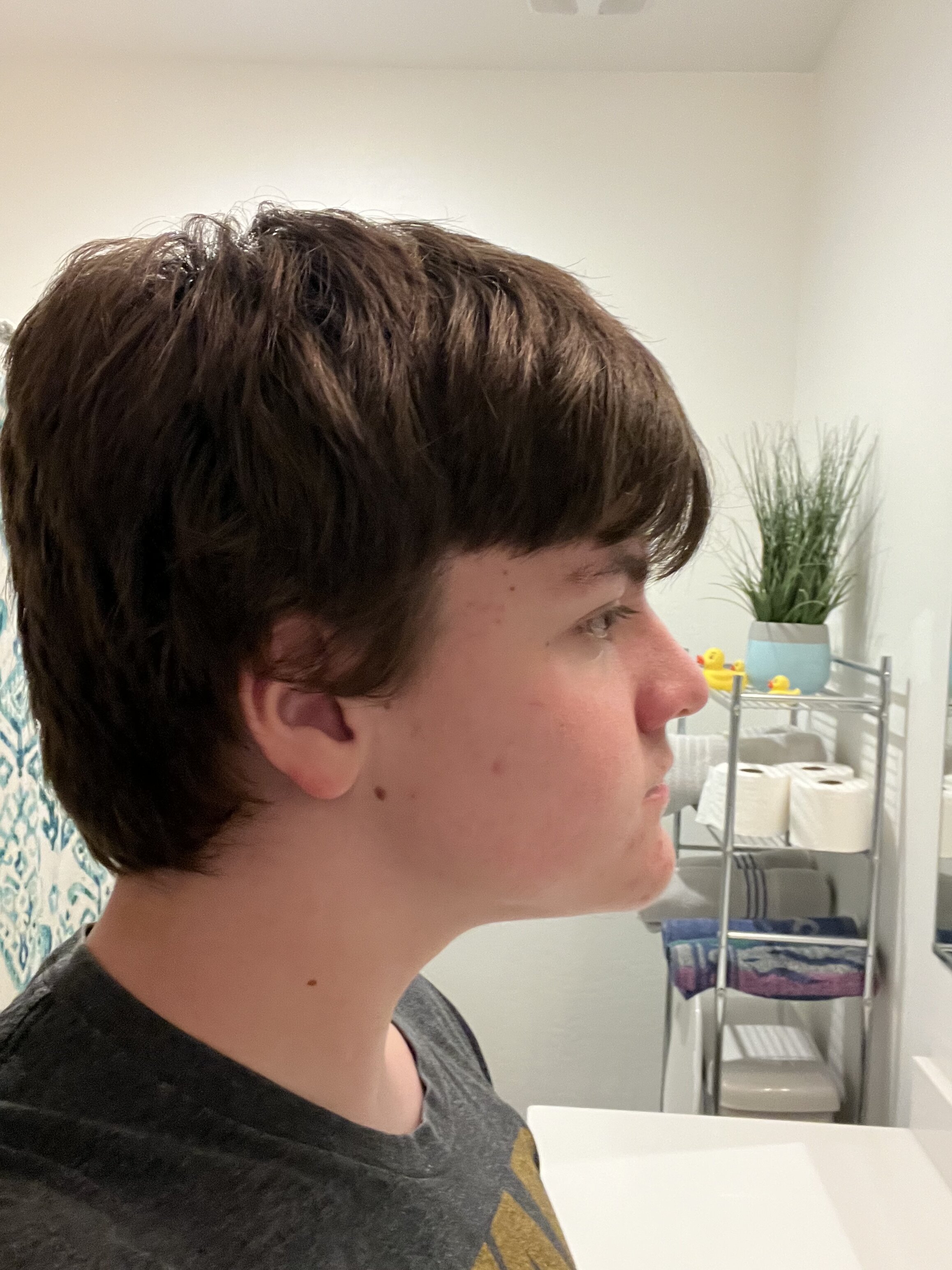 IMG 0589