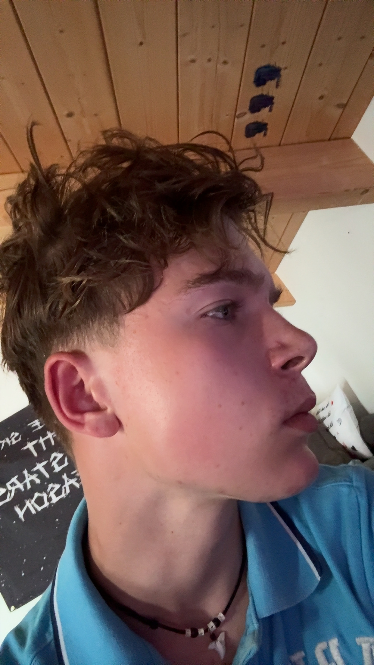 IMG 2669
