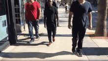 IMG 0537