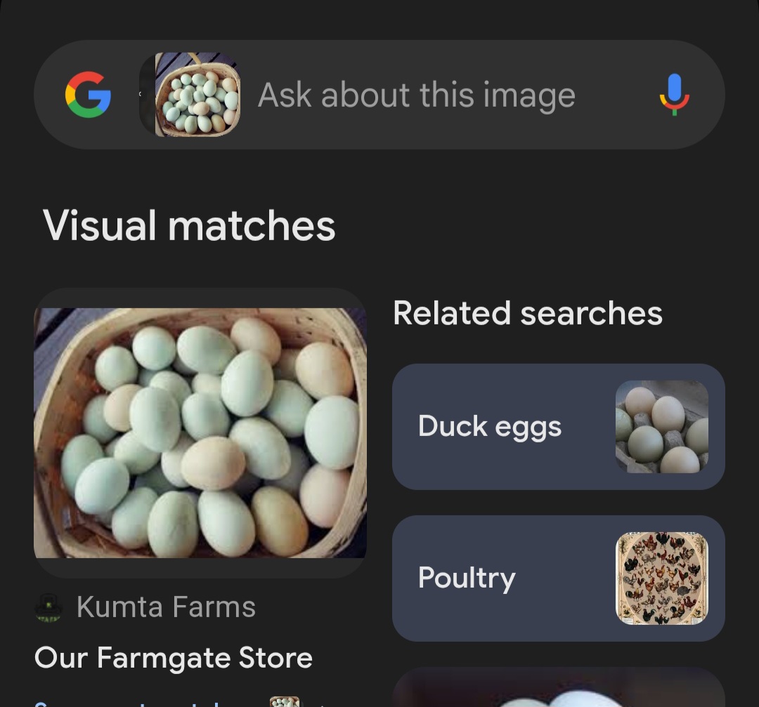 1000055161